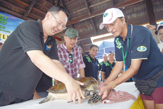 Not so taken aback over turtle deaths